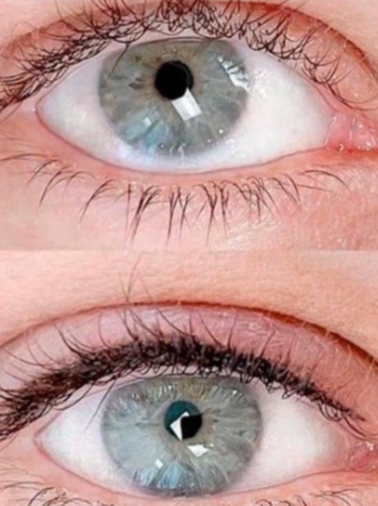 Pmu Torino *azione* *cosa* *dove*